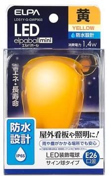 正面画像