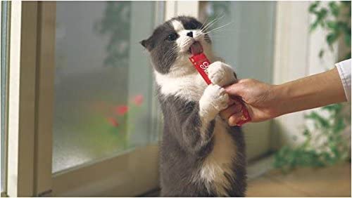 チャオ (CIAO) 猫用おやつ ちゅ~る 1歳までの子ねこ用 まぐろ 14グラム (x 6) (まとめ買い)