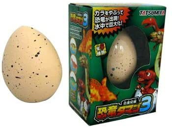 正面画像