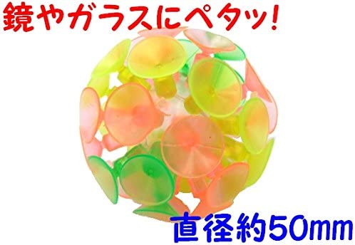 正面画像
