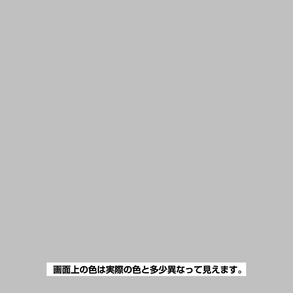 BAN-ZI サビキラー プロ 1KG シルバー 770026