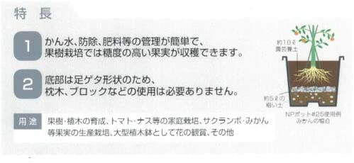 DICプラスチック 果樹・庭木用NPポット #60