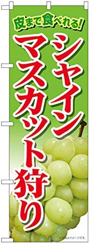 正面画像