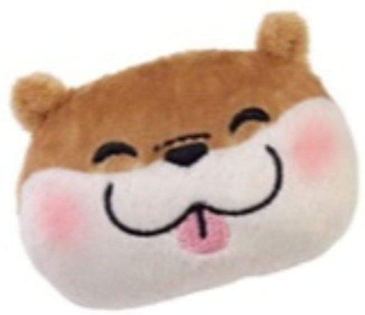 正面画像