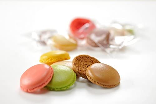 DALLOYAU ダロワイヨ マカロンラスク詰合せ