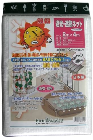 正面画像
