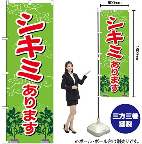 正面画像