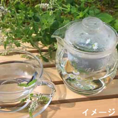 セレック (CELEC) 「 チャミエル 」 ガラス ティーポット Vフィルター(GV-2)付 クリア 3800035