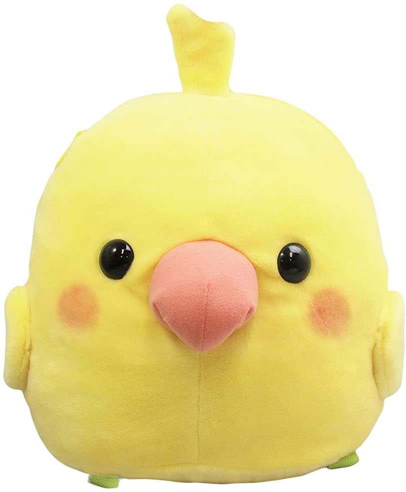 正面画像