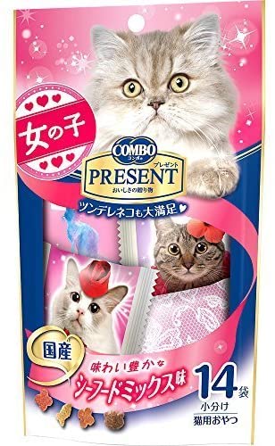正面画像