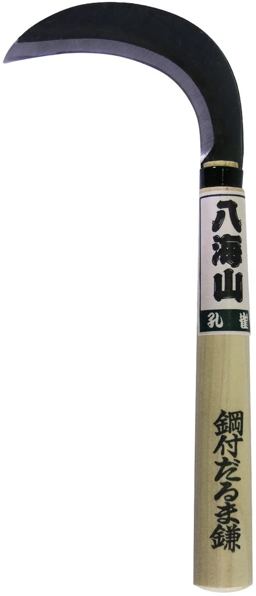 正面画像