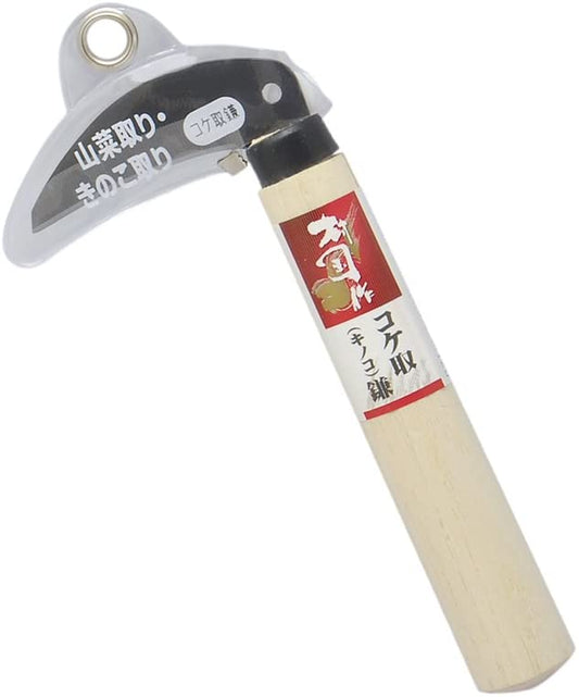 正面画像