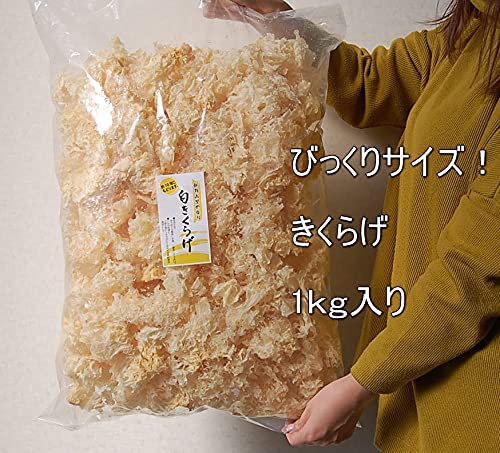 白きくらげ（白木耳）　1kg
