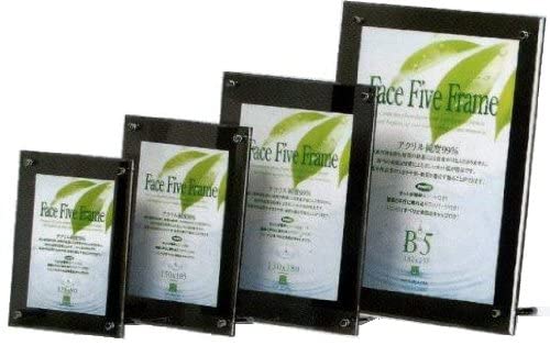 APJ フェイスファイブフレーム(N) キャビネ スモーク