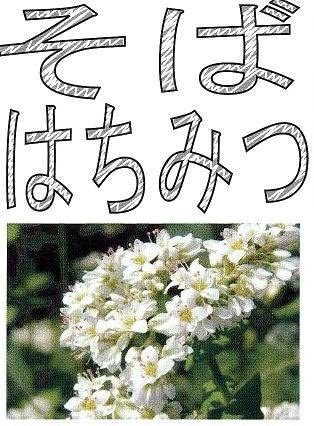 那須高原ハニー牧場 そばはちみつ　蕎麦蜂蜜 250g