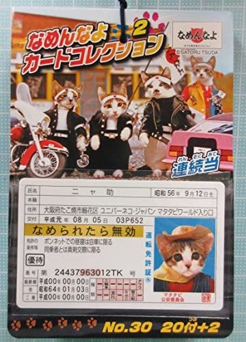 正面画像
