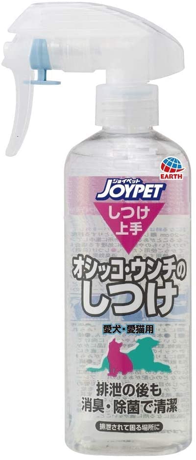 正面画像