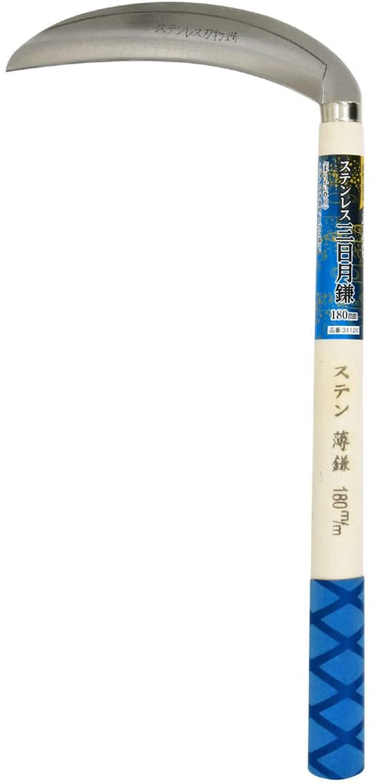 正面画像