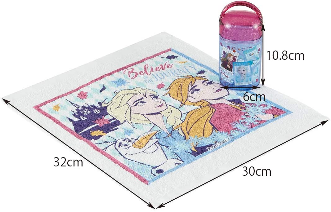 スケーター おしぼりセット ケース付き アナと雪の女王 2 ディズニー 32×30.5cm OA5