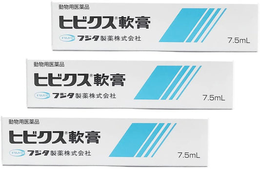 正面画像