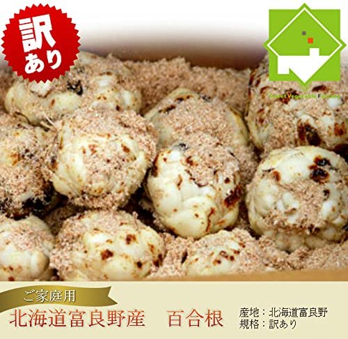 北海道富良野産　訳あり　ゆり根　１kg