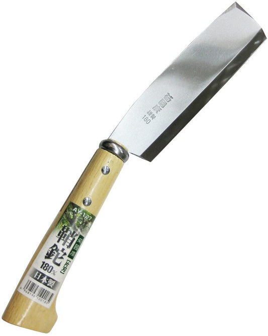 正面画像