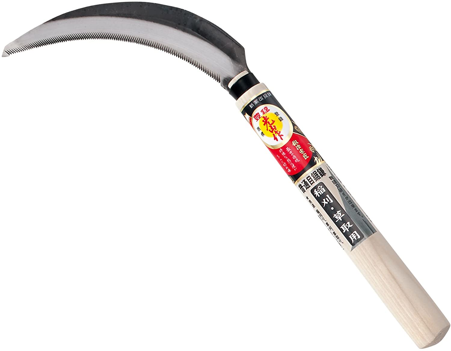 正面画像