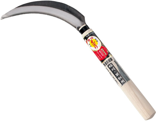 正面画像