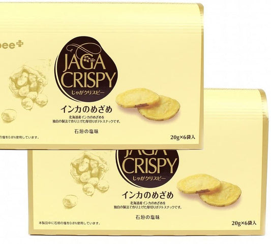 正面画像