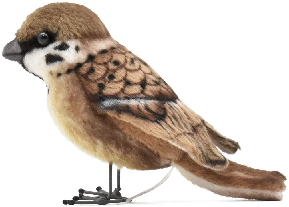 BH7019 HANSA スズメ 10