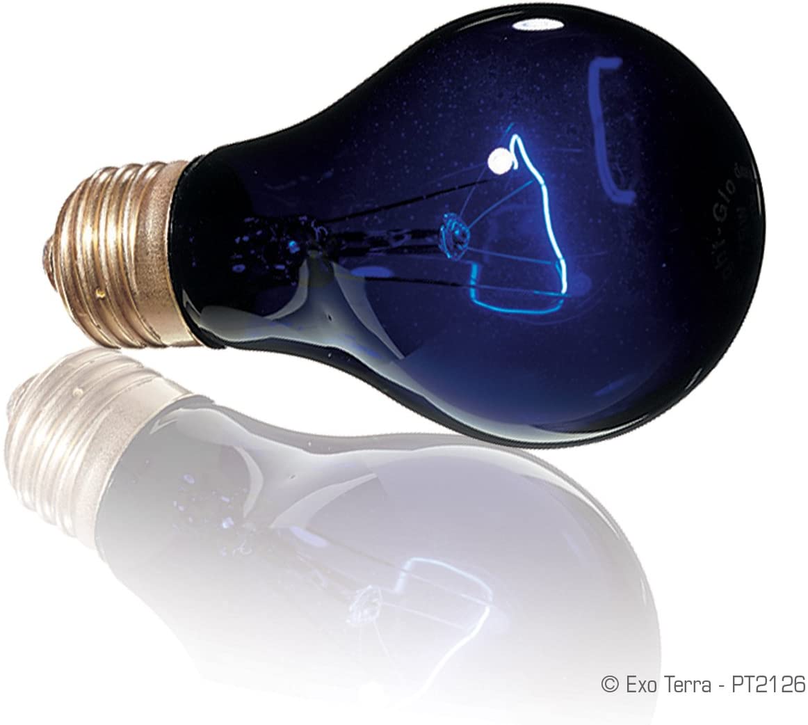 ジェックス エキゾテラ ナイトグロー ムーンライトランプ 50W 夜行性爬虫類用