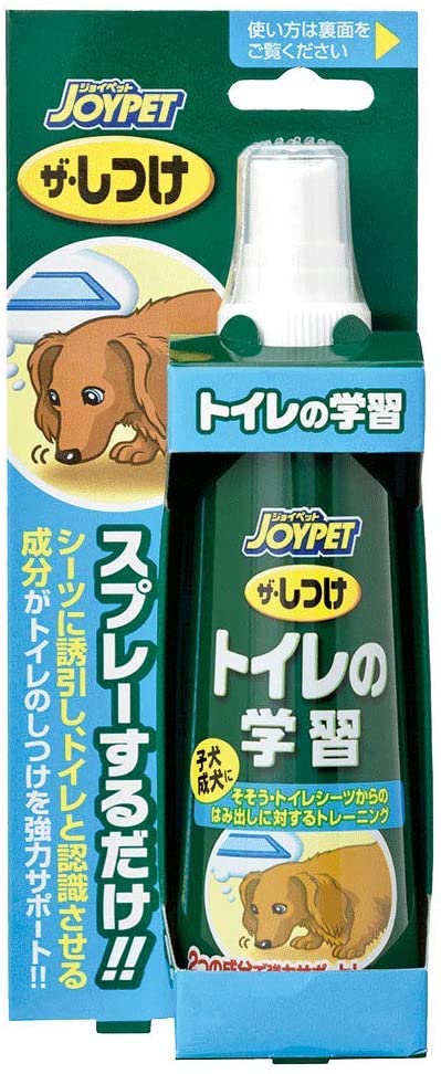 正面画像