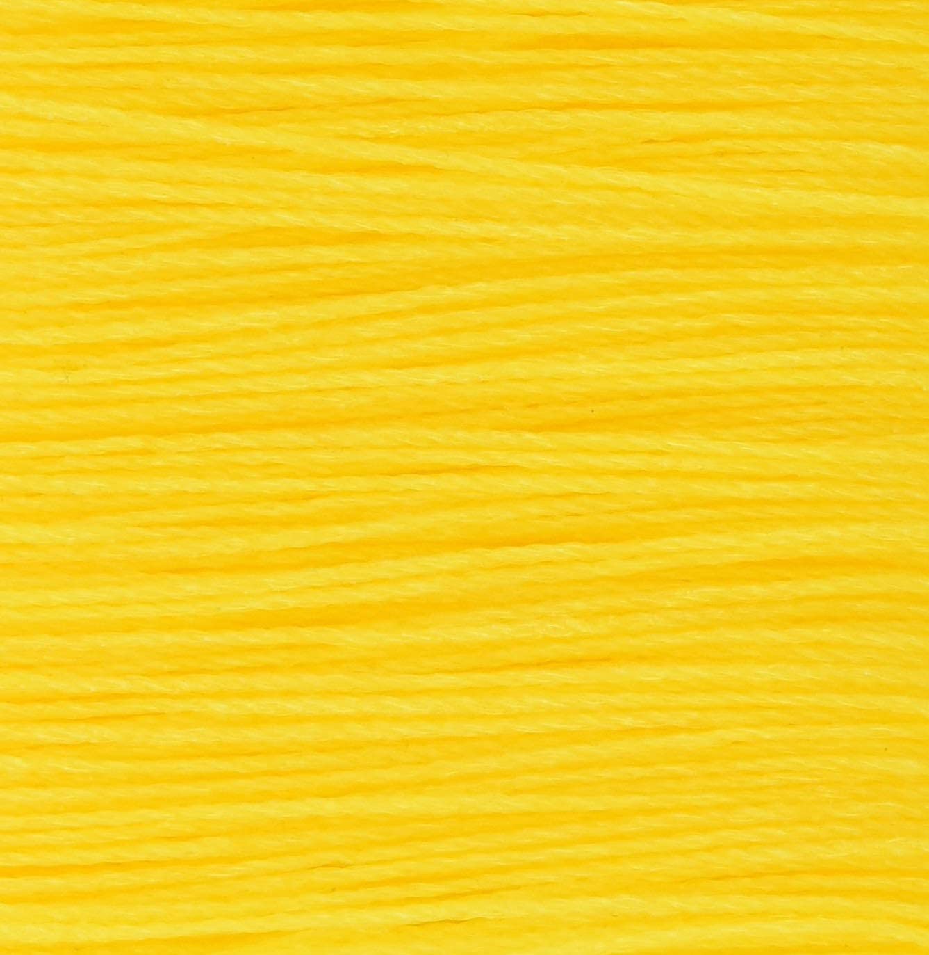 BIGMAN(ビッグマン) ポリエチレン測量水糸極太100m巻LE-124