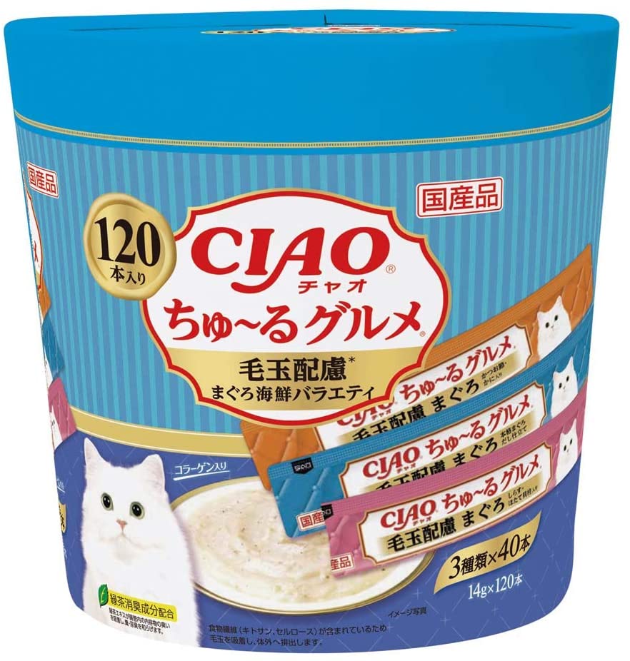 正面画像