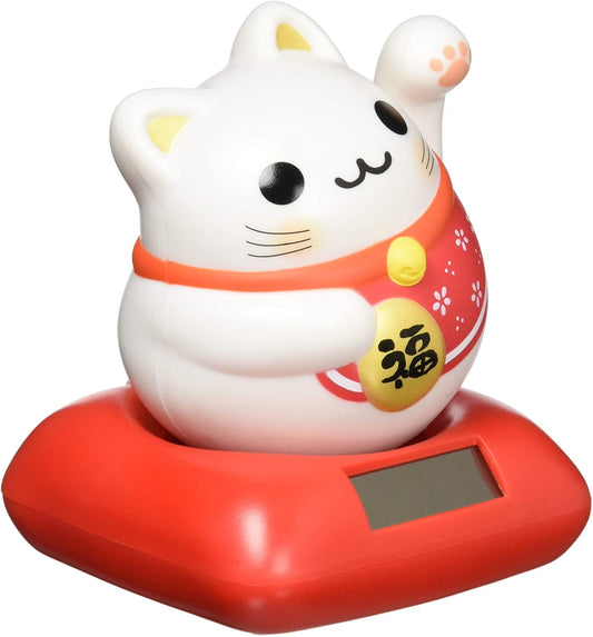 正面画像