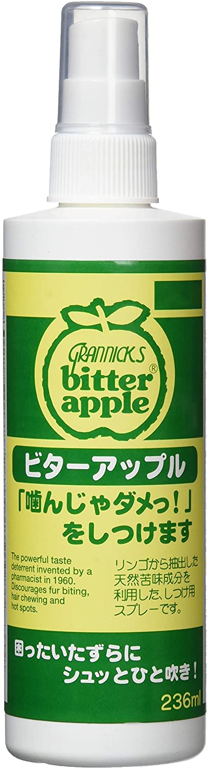 正面画像