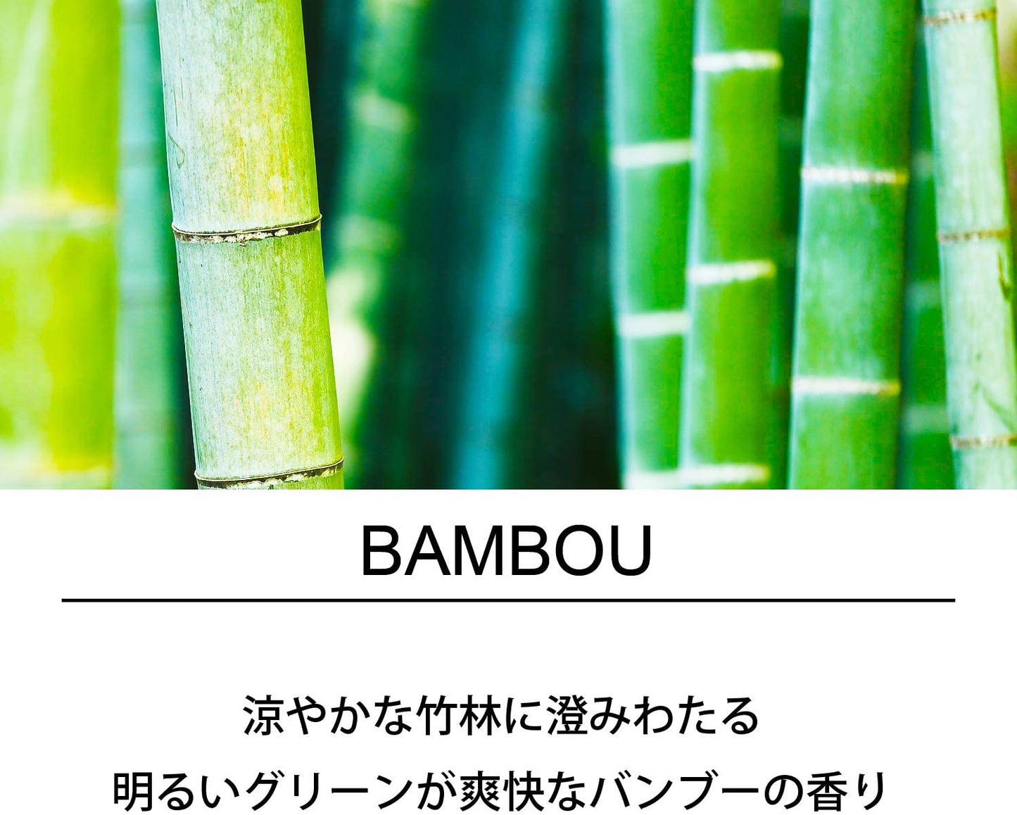 エステバン エスプリ ド ナチュール バンブー 40本入