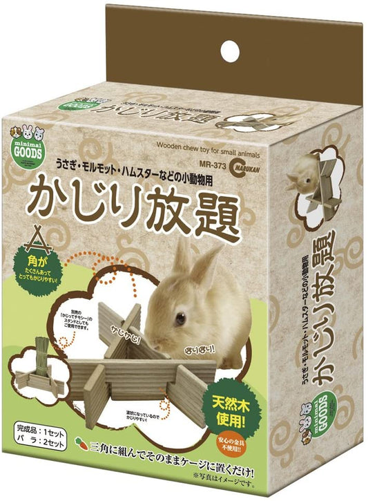 正面画像