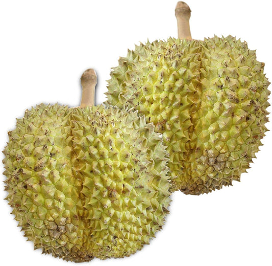 正面画像
