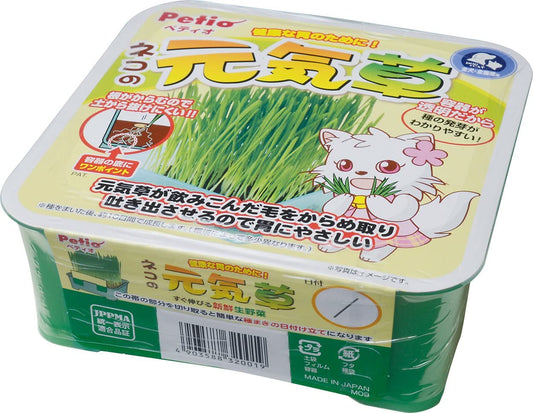 正面画像