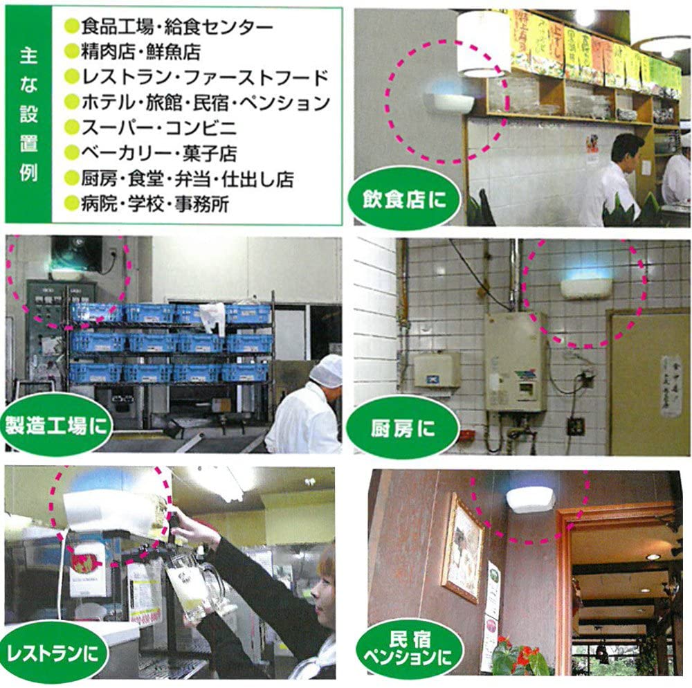 セハージャパン 虫ピタ虫V(ファイブ) 屋内用飛来昆虫捕虫器 TKTBR-031719