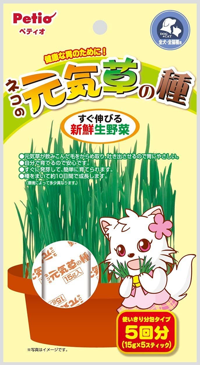 正面画像