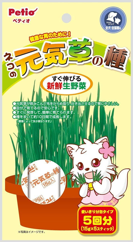 正面画像