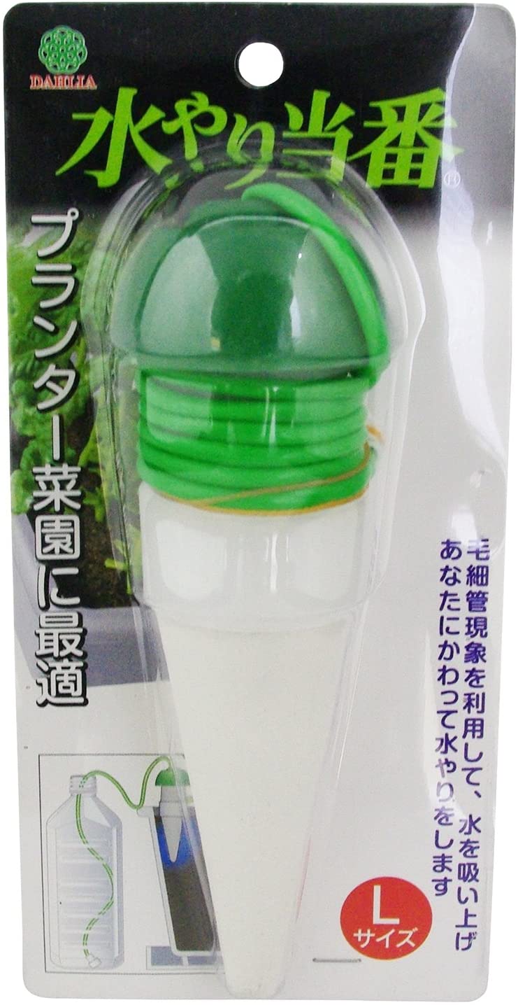 正面画像