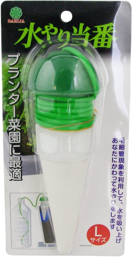 正面画像