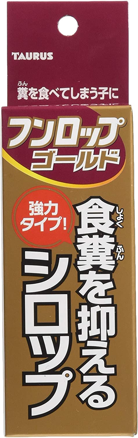 正面画像