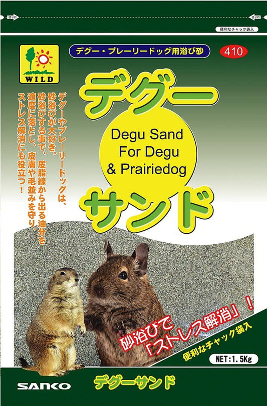 正面画像