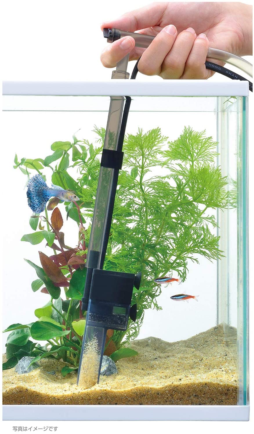 ジェックス ミニオートクリーナー 1個 (x 1)