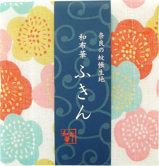 正面画像