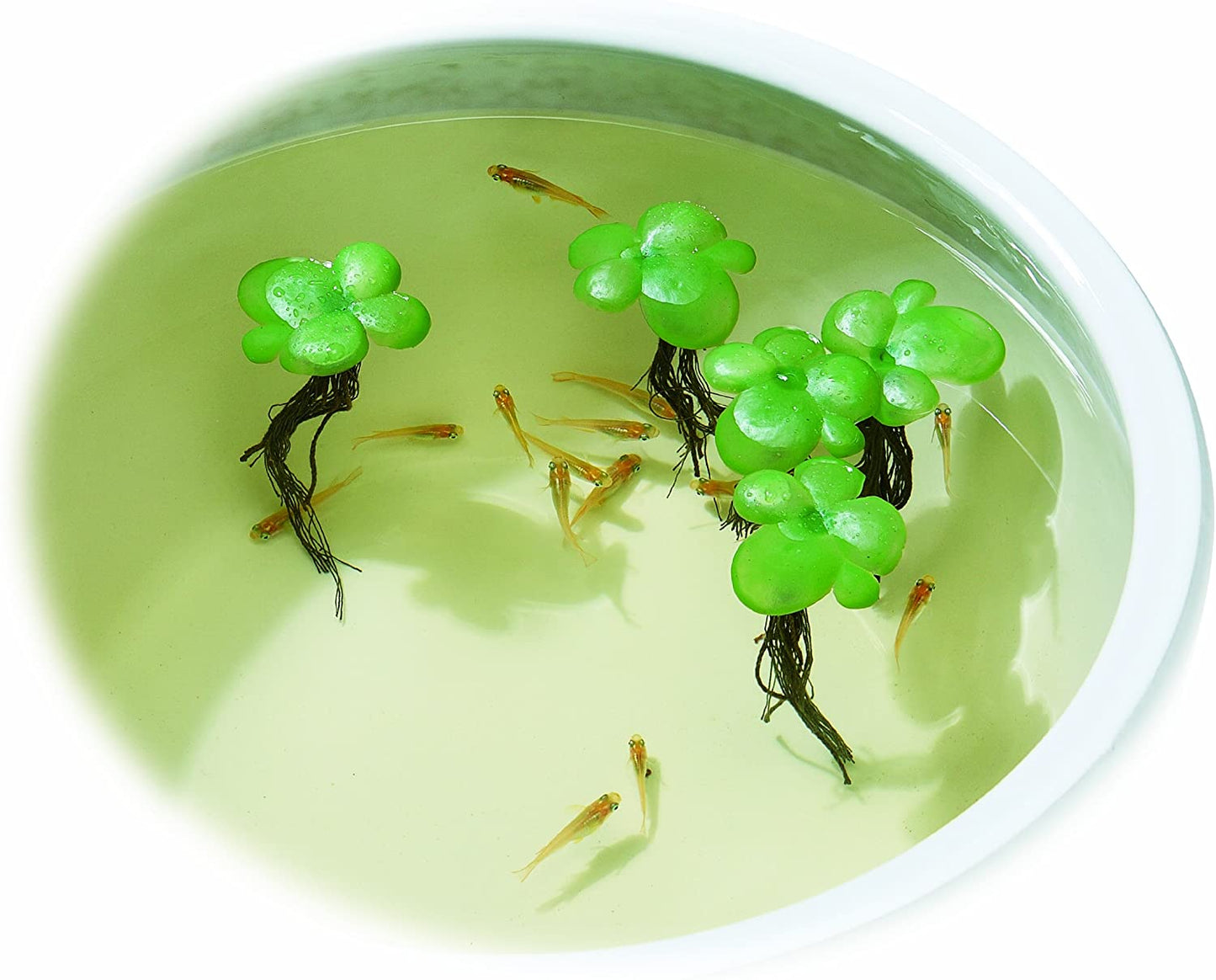 ジェックス メダカの産卵草 ミニフロート